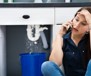 About Emergency plumbing pros Berrien Springs, MI